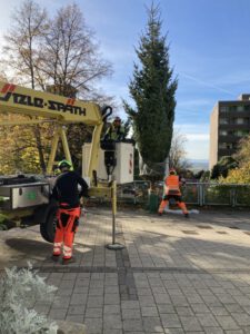 Christbaum auf dem Mitscherlich-Platz