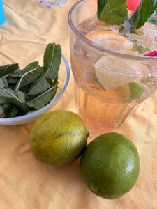 Feiern mit selbst zubereiteten alkoholfreien Cocktails