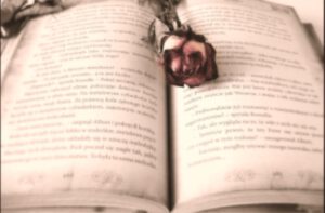 literatur auf dem boxberg