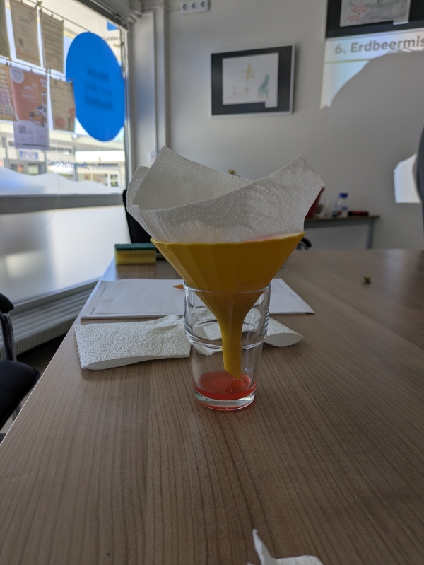Ein Filter trennt den Saft vom Erdbeer-Mus