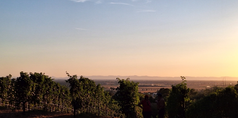Sonnenfinsternis: Blick ins Rheintal bei 90 % Bedeckung