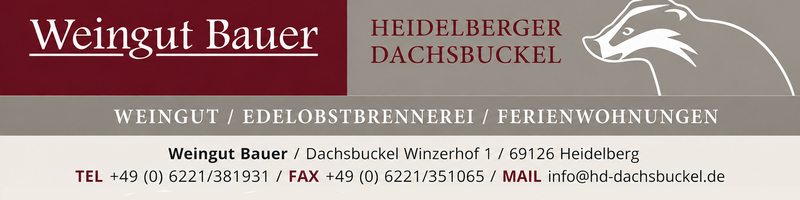 Weingut Bauer
