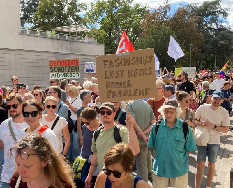 Weit über 7 000 Menschen zogen friedlich durch Bergheim in die Altstadt, darunter etliche Boxberger und Emmertsgrunder. Foto: wa