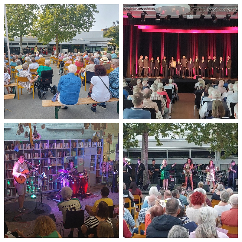 Gute Stimmung beim Emmertsgrunder Kultursommer 2026.